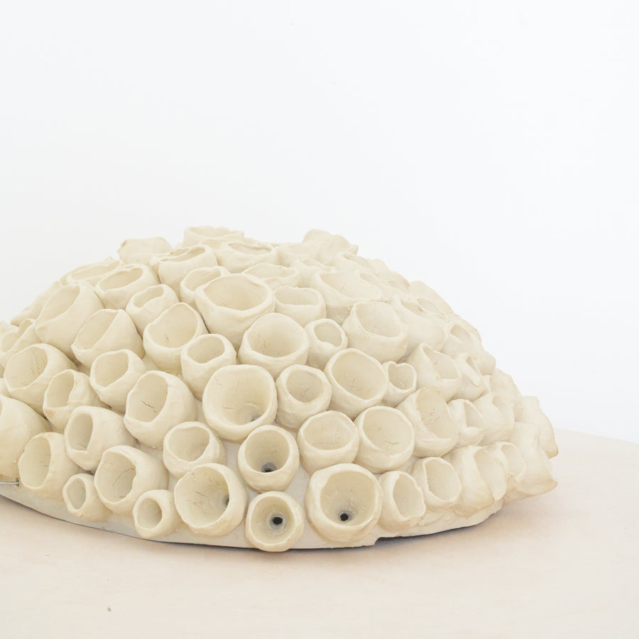 Coralie Clay Lamp