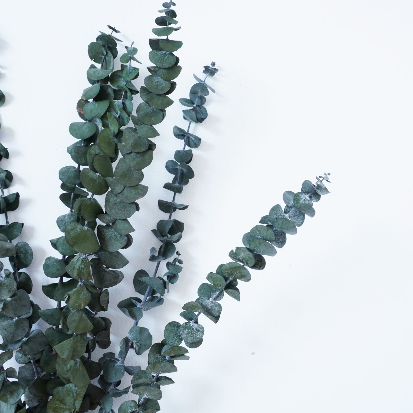 Infinity Flowers - Eucalyp Penny Sage Green