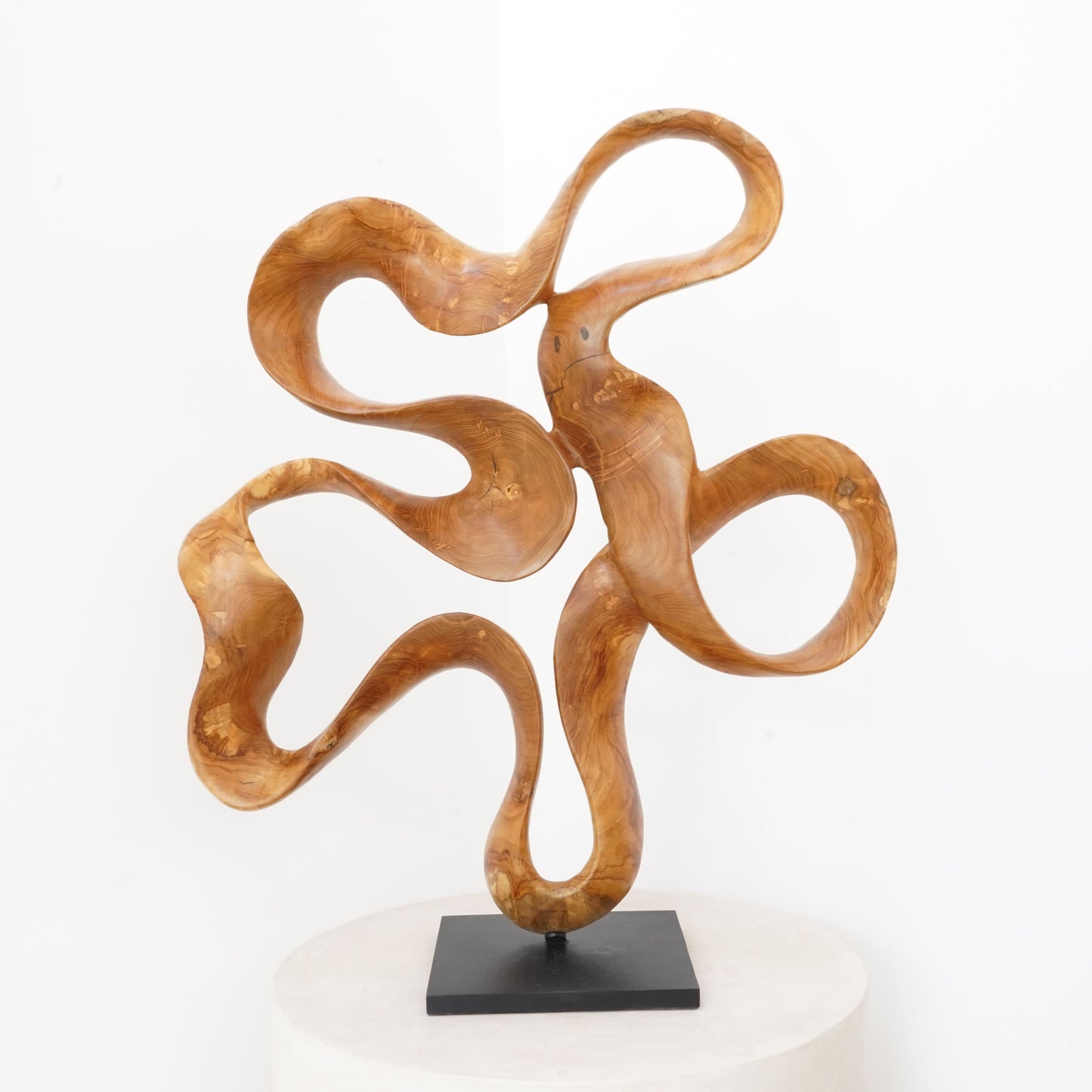 Echoes 01 Sculpture on Stand