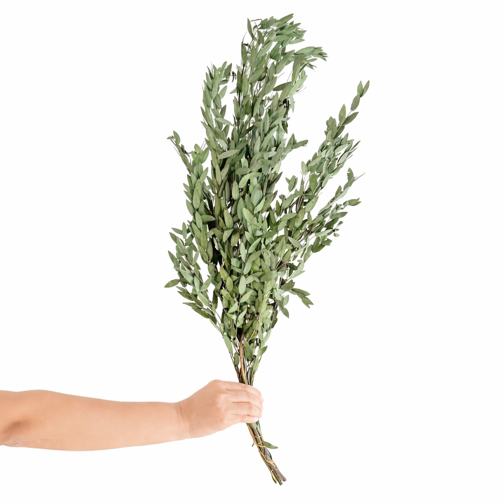 Infinity Flowers - Parvafolia Dark Green