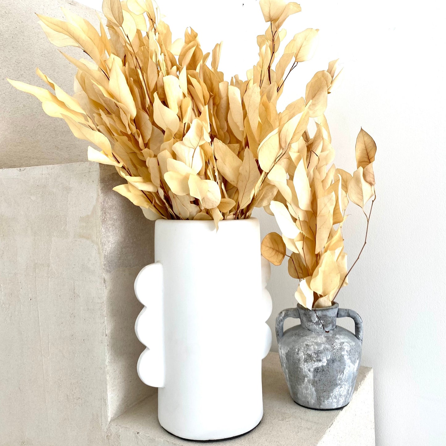 Dried Flowers - Eucalyptus White