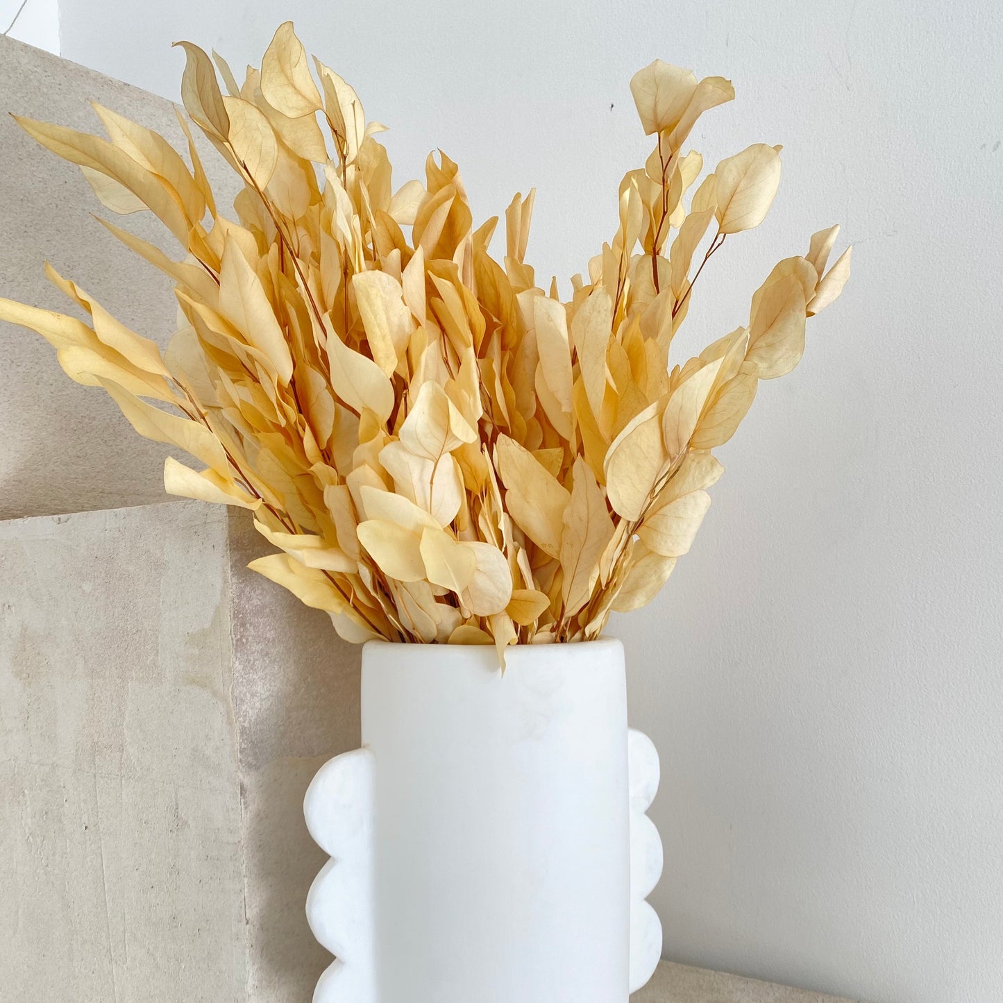 Dried Flowers - Eucalyptus White
