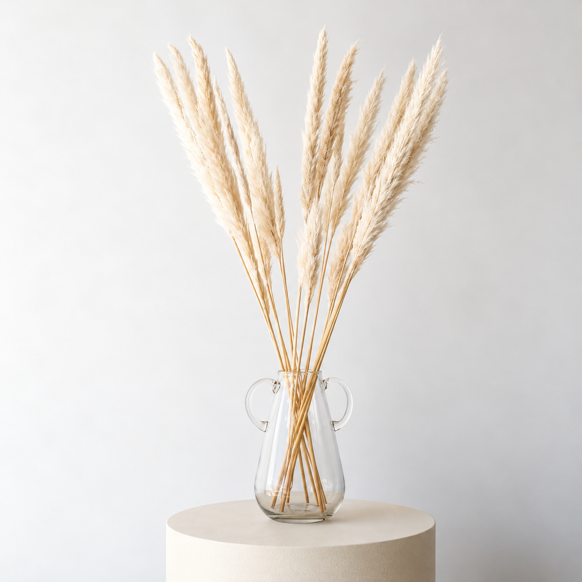 Infinity Flowers - Cortaderia - Bleach White