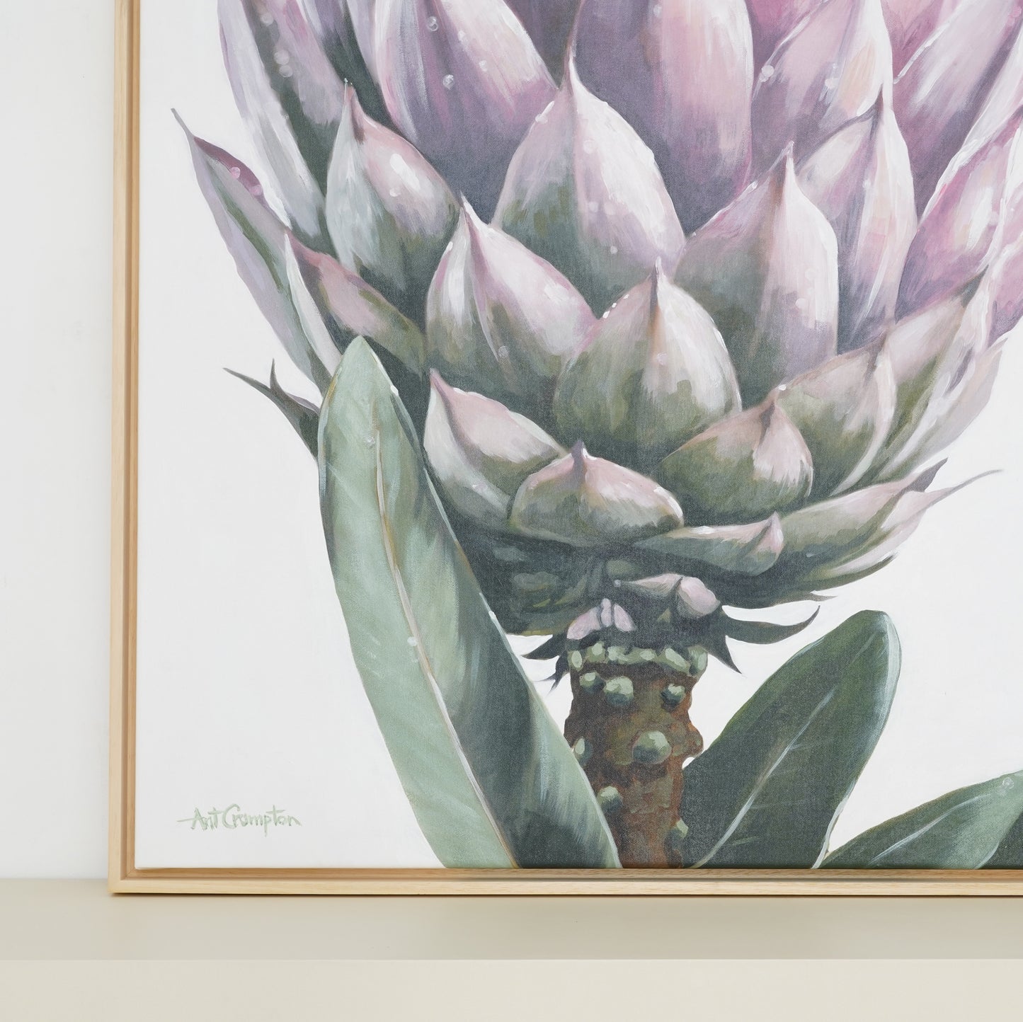 Protea Series by Ant Crampton 04
