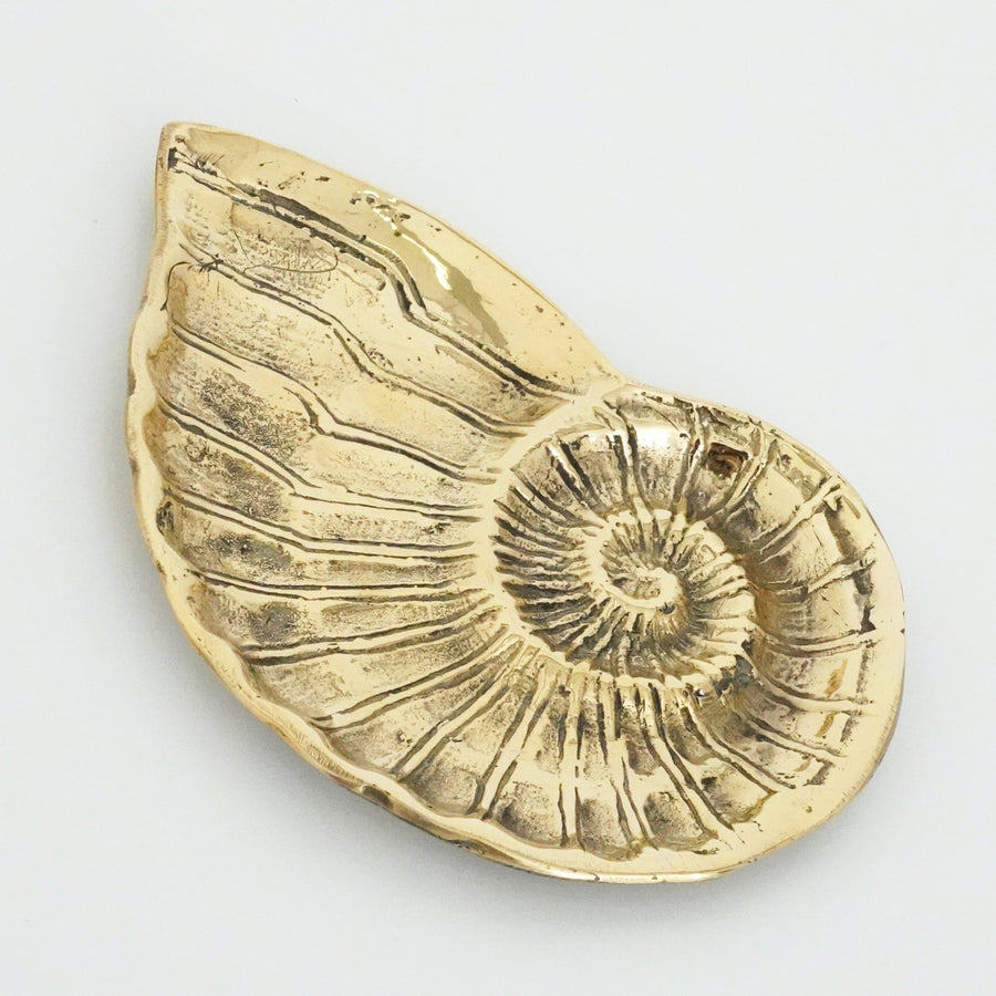 Brass Nautilus Tray