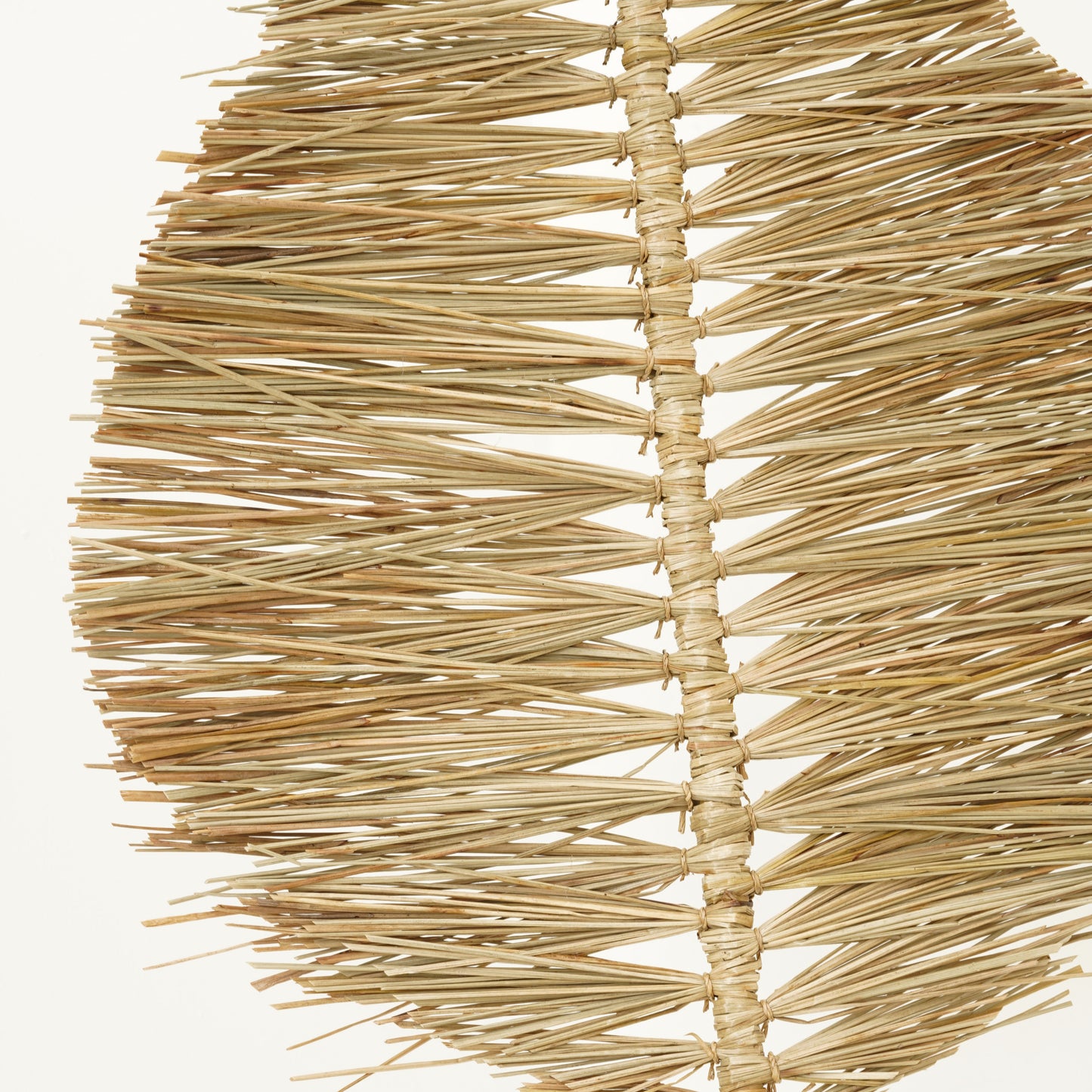 Terra Frond