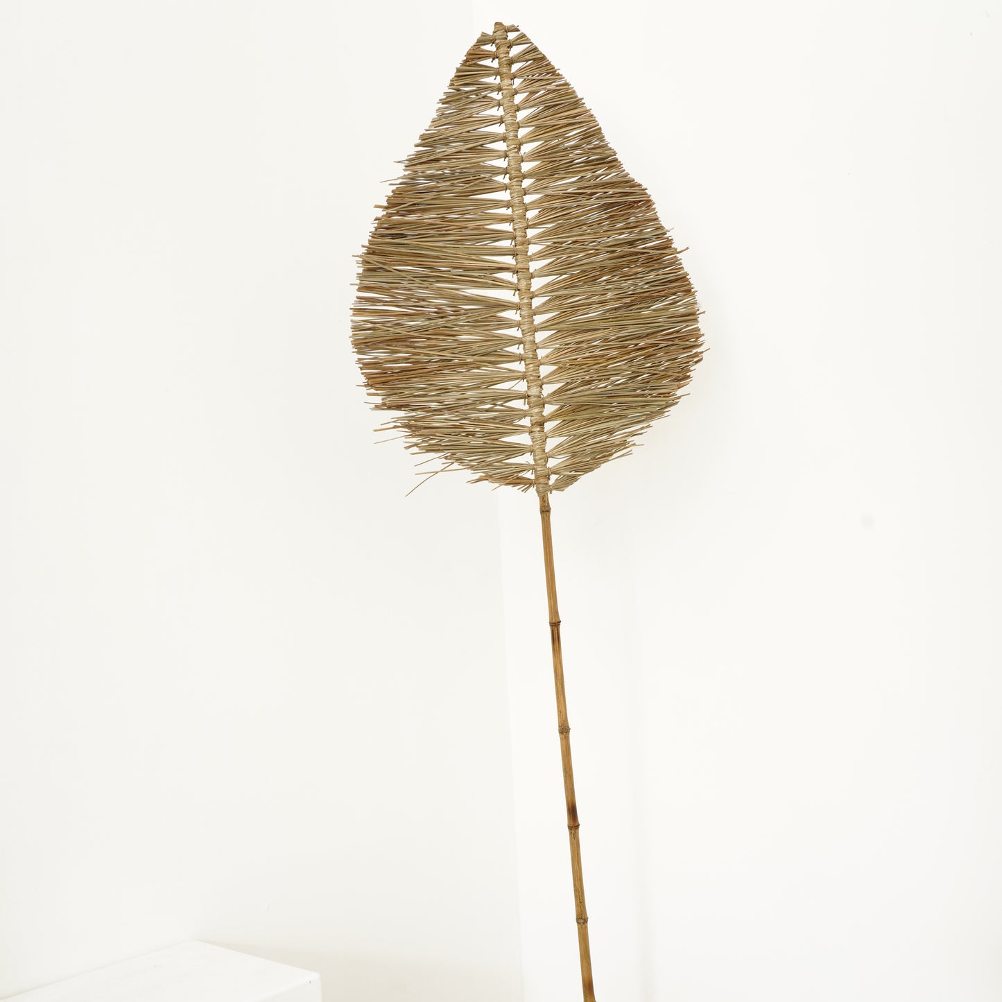 Terra Frond