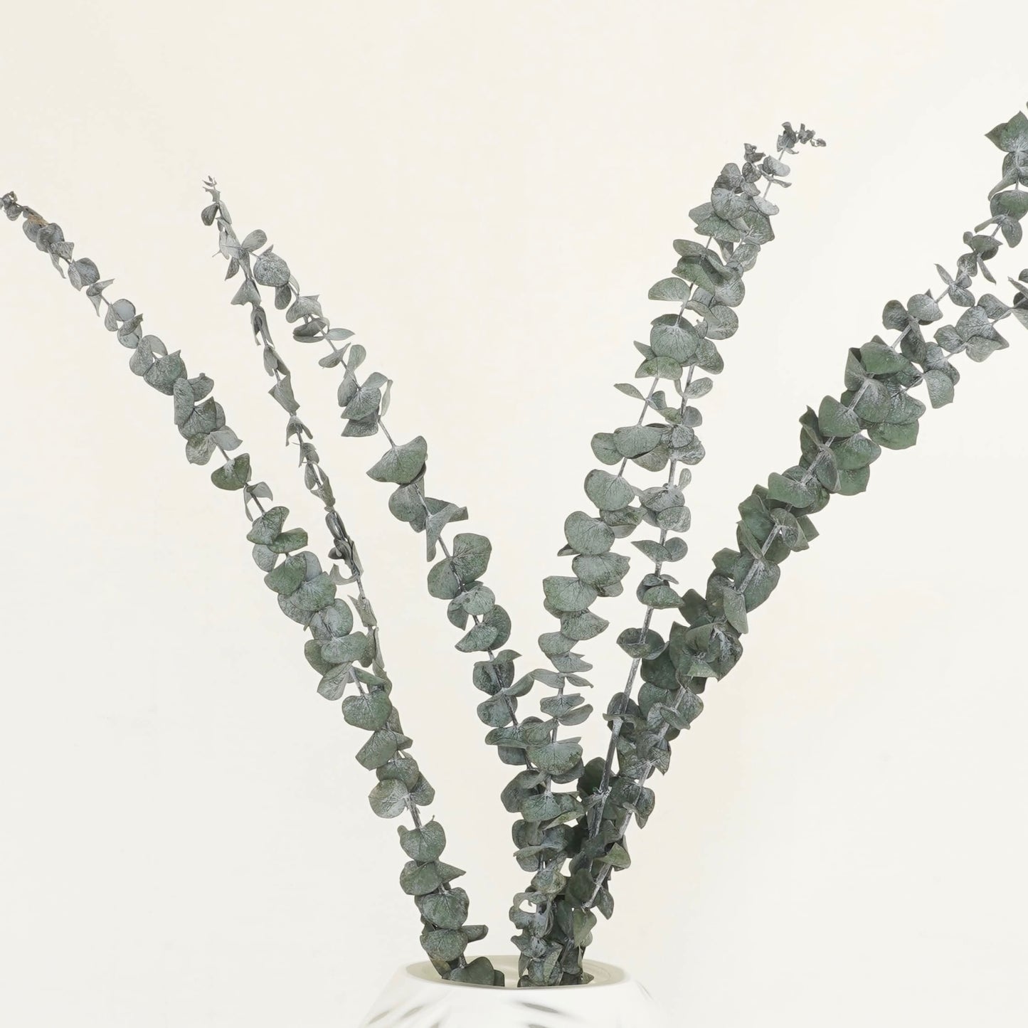 Infinity Collection - Eucalyptus Baby blue- Dark Green