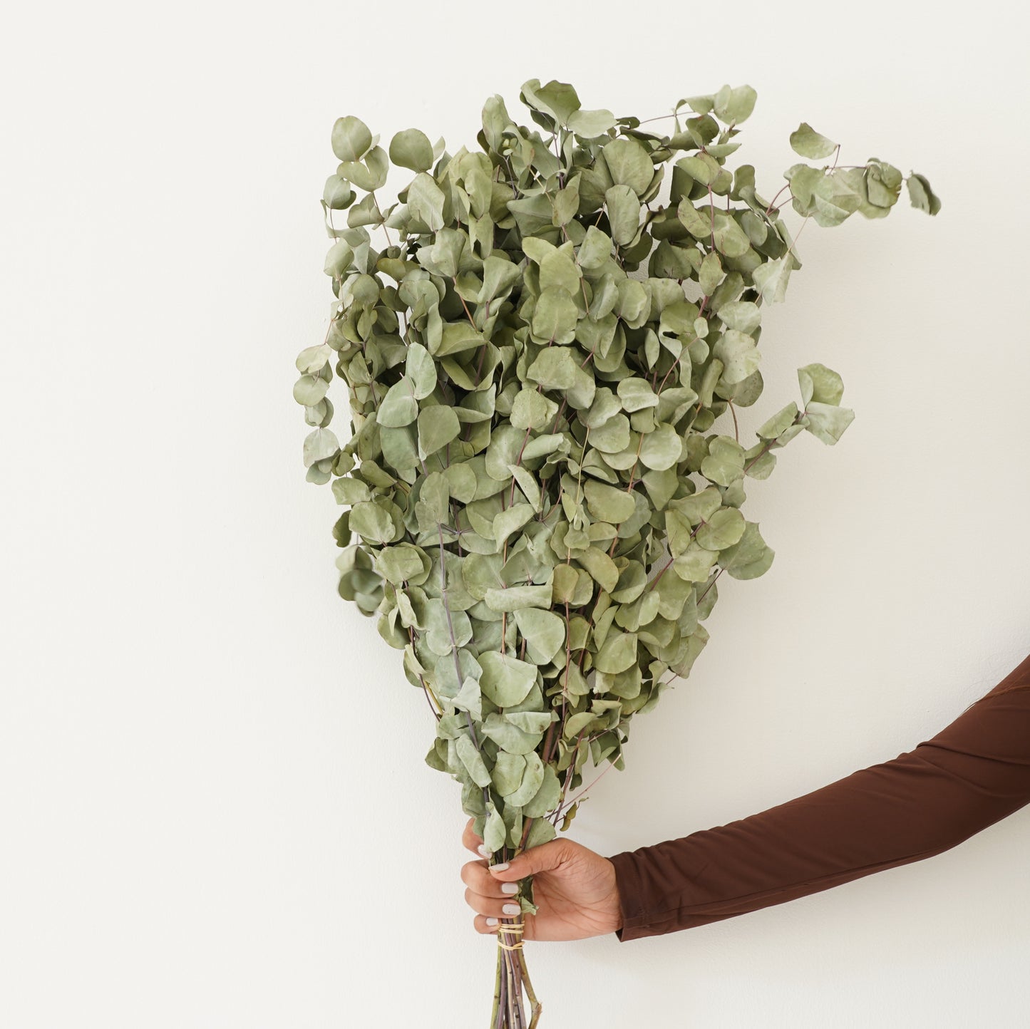 Infinity Flowers - Eucalyp Poplus Sage Green