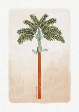 KARINA JAMBRAK - Paradise Palms (1)