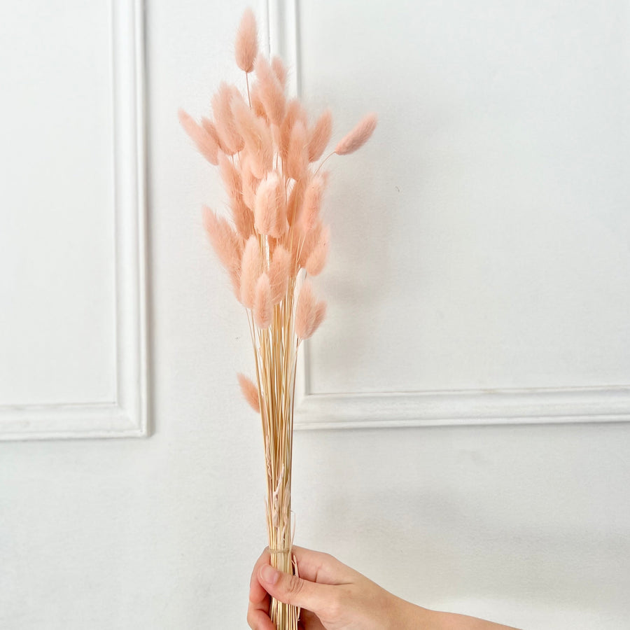 Dried Flowers - Lagarus Pink