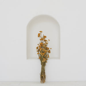 Dried Flowers -  Lona