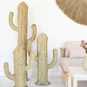 Palm Cactus Decoration