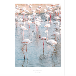 Dubai Natural Print Only - Flamingos / طباعة