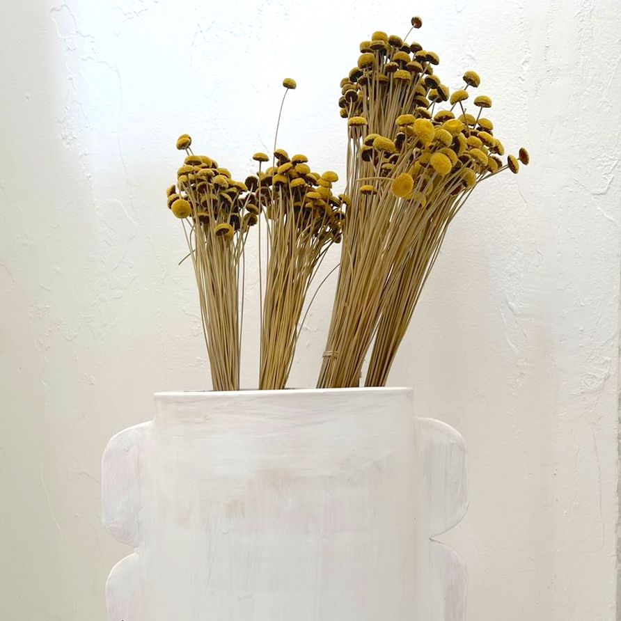 Dried Flowers - Botao