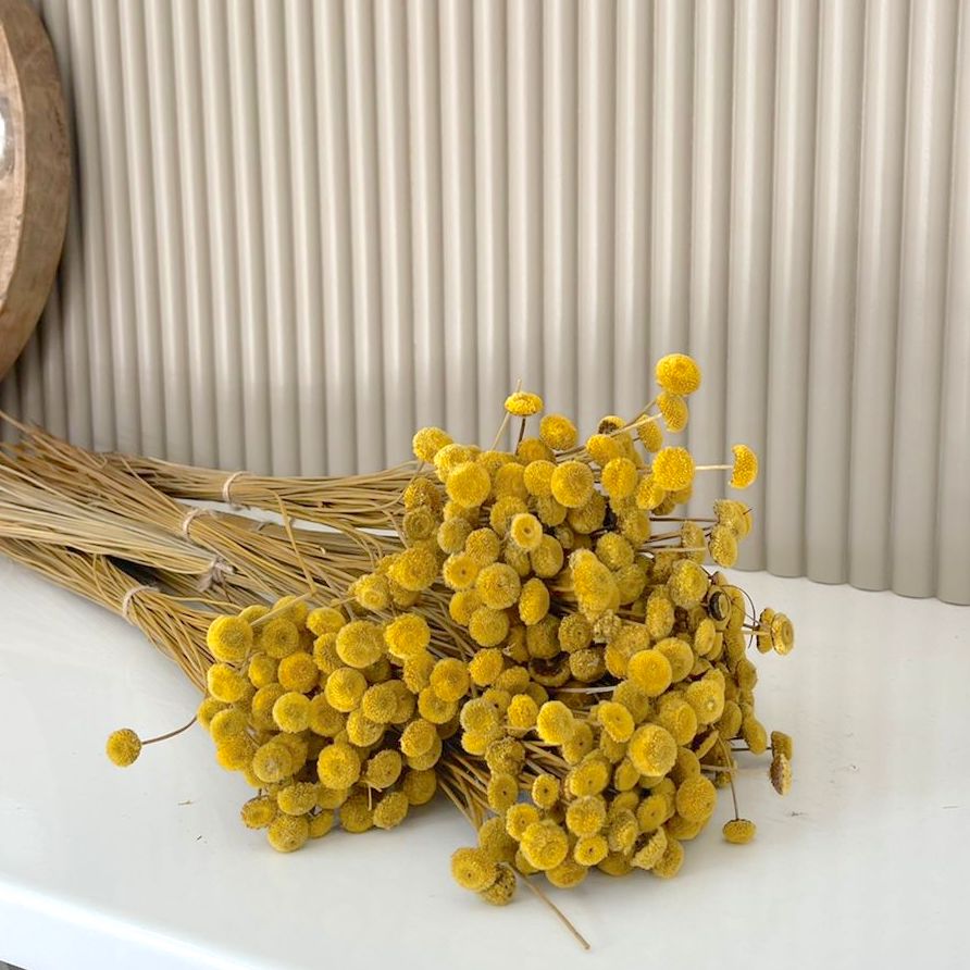 Dried Flowers - Botao