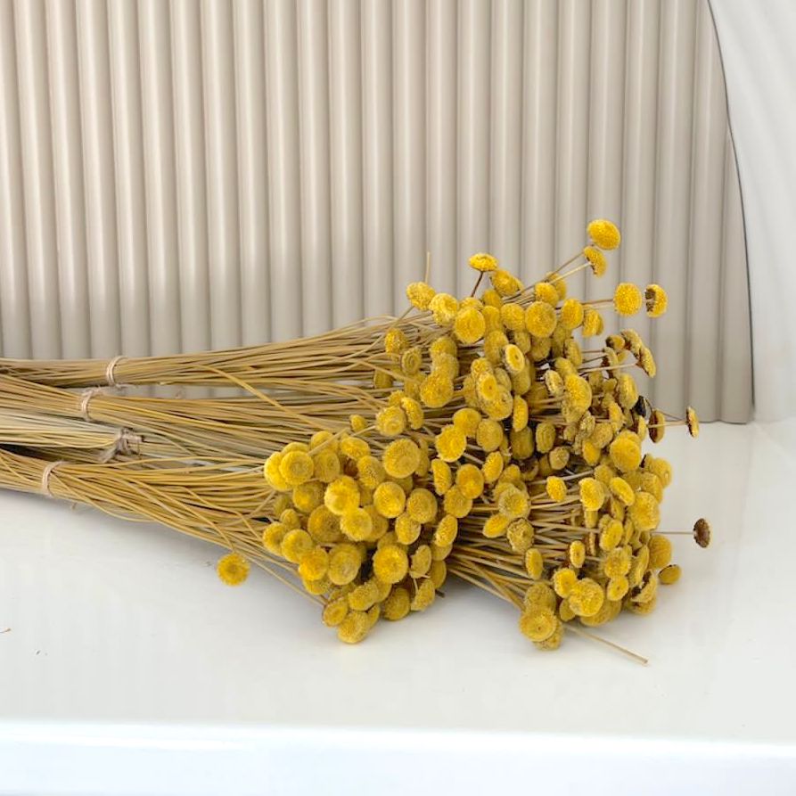 Dried Flowers - Botao