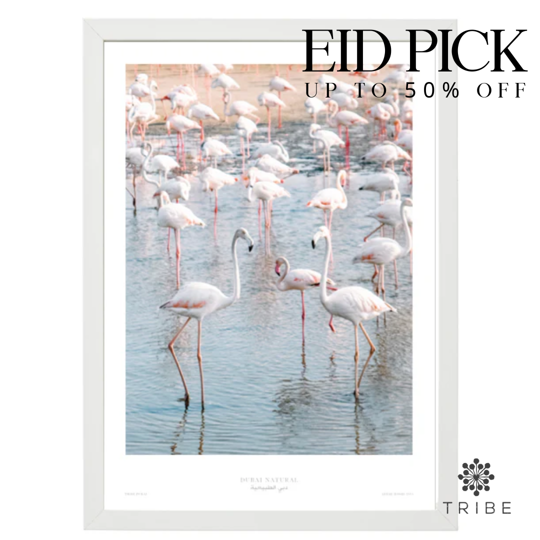 Dubai Natural Framed Print, White - Flamingos / طباعة