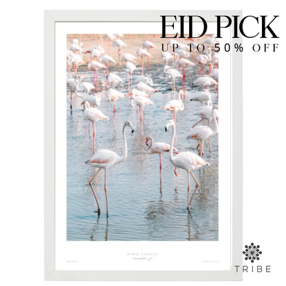 Dubai Natural Framed Print, White - Flamingos / طباعة
