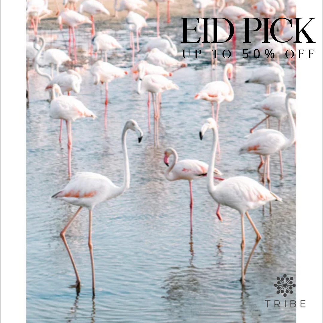Dubai Natural Print Only - Flamingos / طباعة