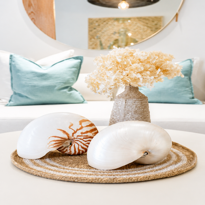 Natural Nautilus Shell - Coastal Decor
