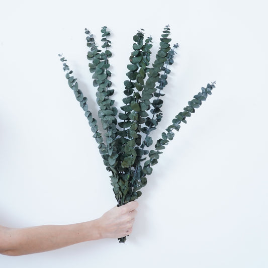 Infinity Flowers - Eucalyp Penny Sage Green