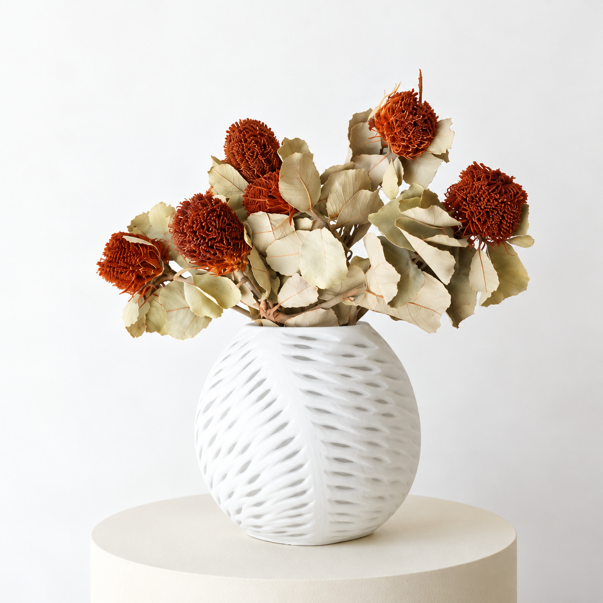 Infinity Flowers - Banksia Coccenia - Natural