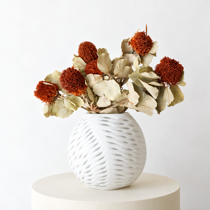Infinity Flowers - Banksia Coccenia - Natural