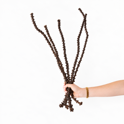 Infinity Flowers - Banana Stems