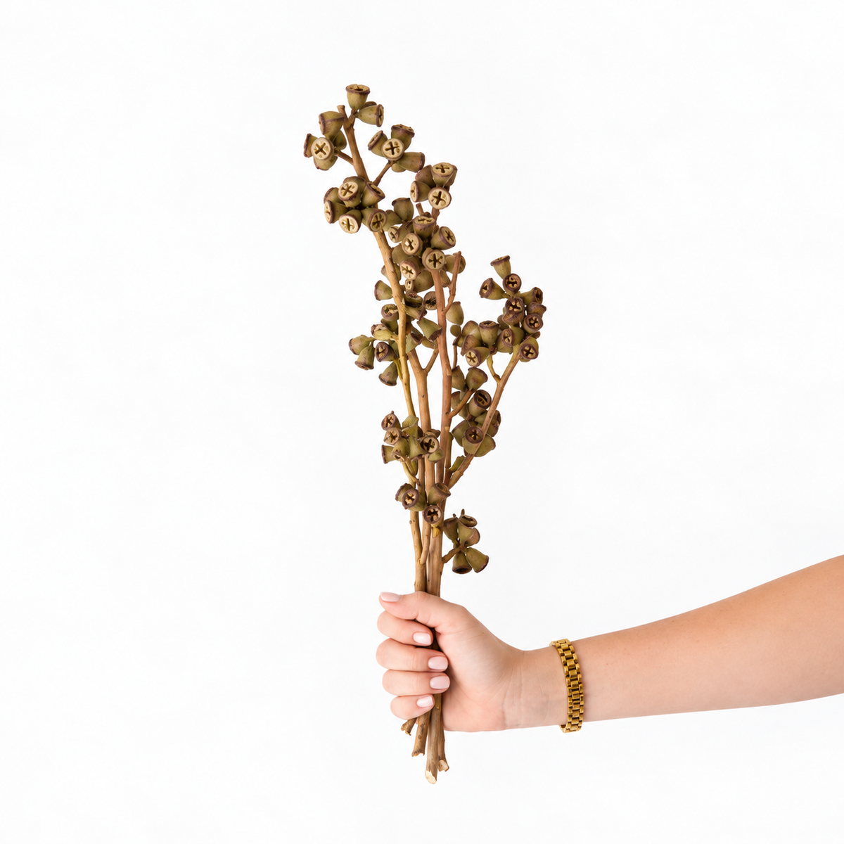 Infinity Flowers - Conical Gum - Natural