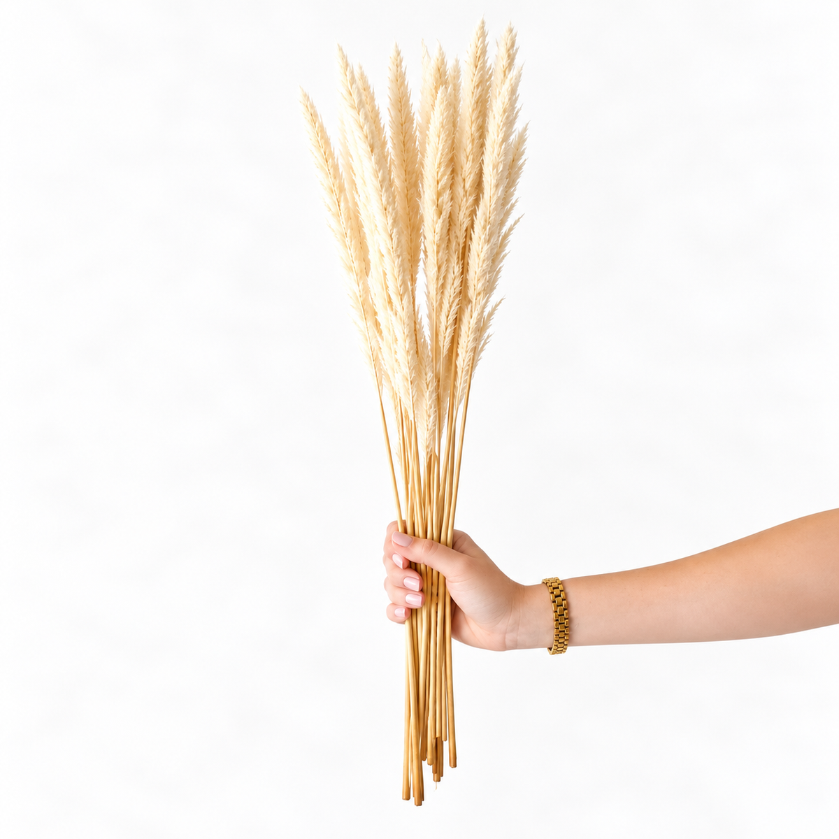 Infinity Flowers - Cortaderia - Bleach White