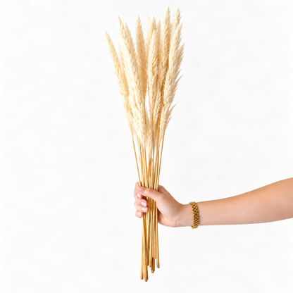 Infinity Flowers - Cortaderia - Bleach White