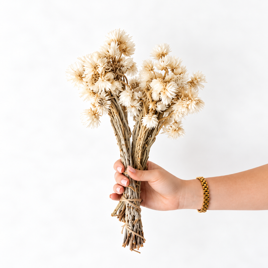 Infinity Flowers - Capblumen - Natural