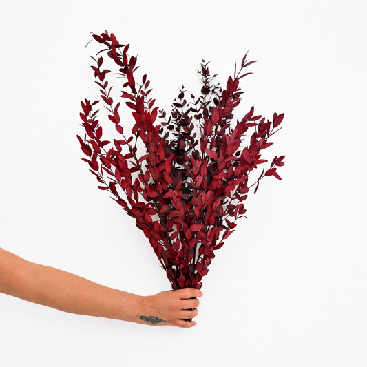 Infinity Flowers - Parvafolia Dark Red