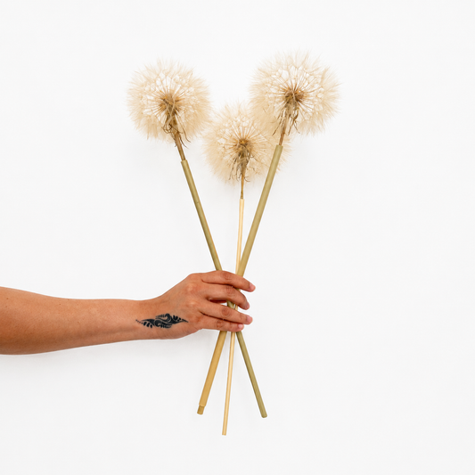 Infinity Flowers - Preserved Dandelion