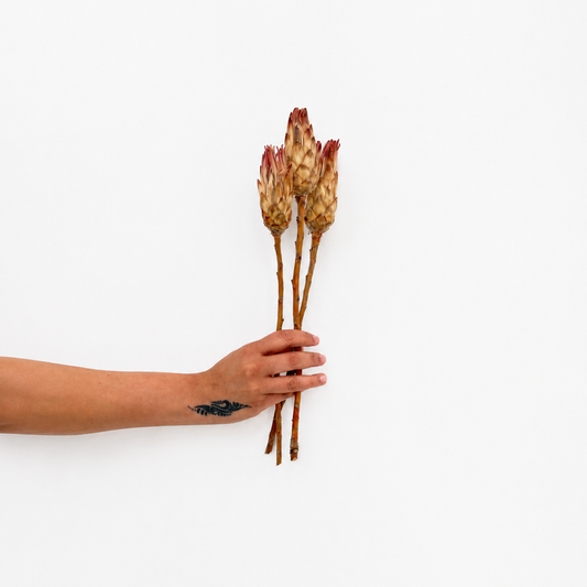 Infinity Flowers - Repens Flower - Natural