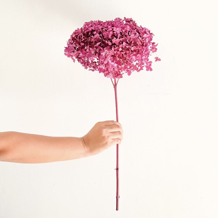 Infinity Flowers - Magenta