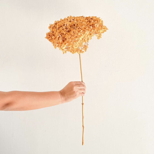 Infinity Flowers - Brown