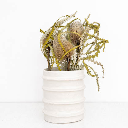 Infinity Flowers - Banksia Spaciosa - Natural