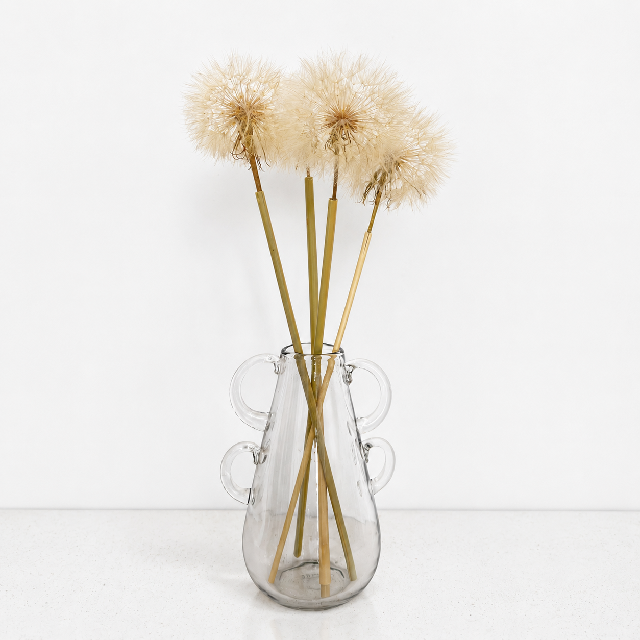 Infinity Flowers - Preserved Dandelion
