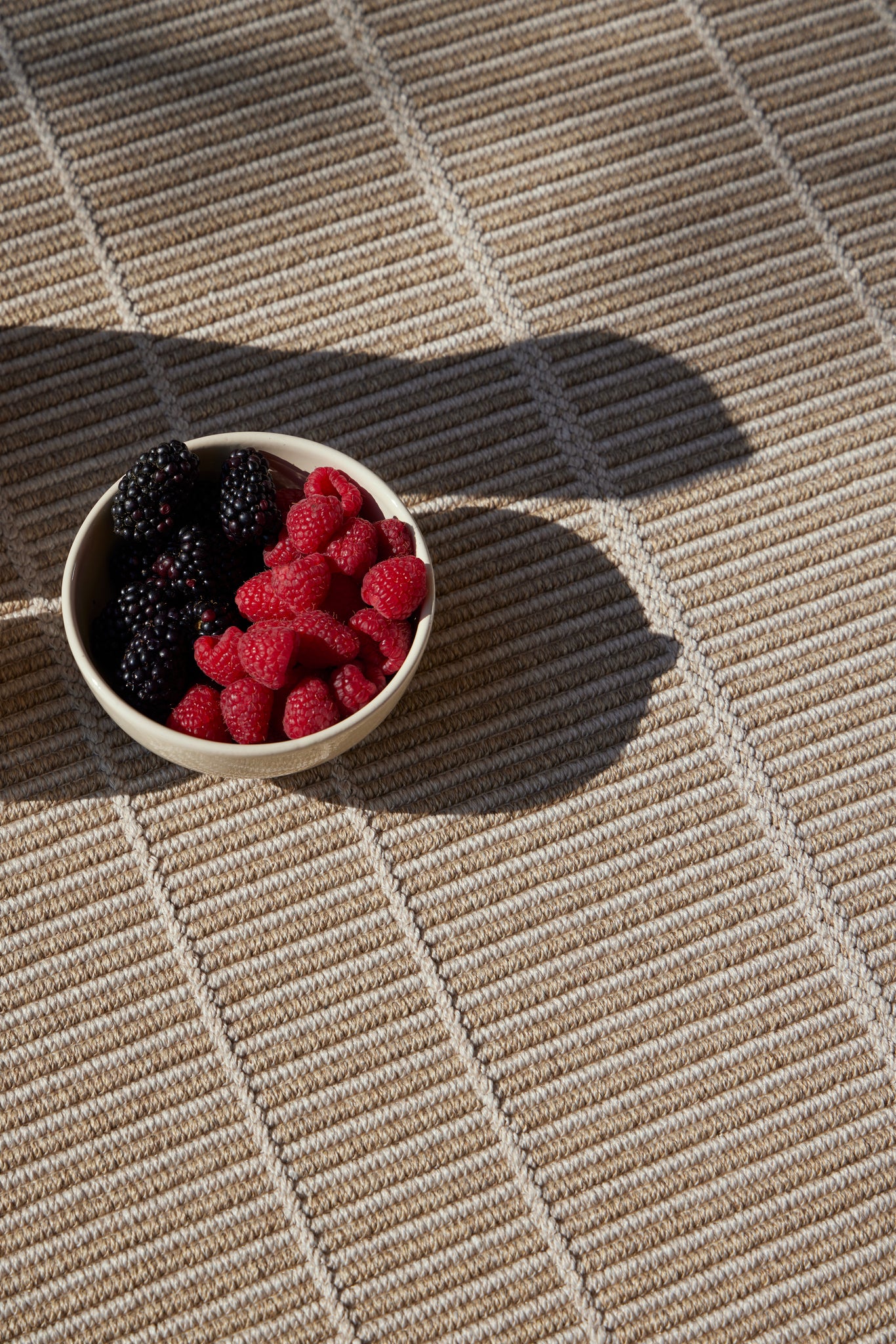 Mirella 100% Recycled Plastic Indoor/Outdoor Rugs - TRIBE