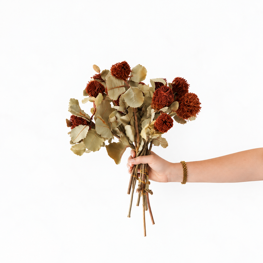 Infinity Flowers - Banksia Coccenia - Natural