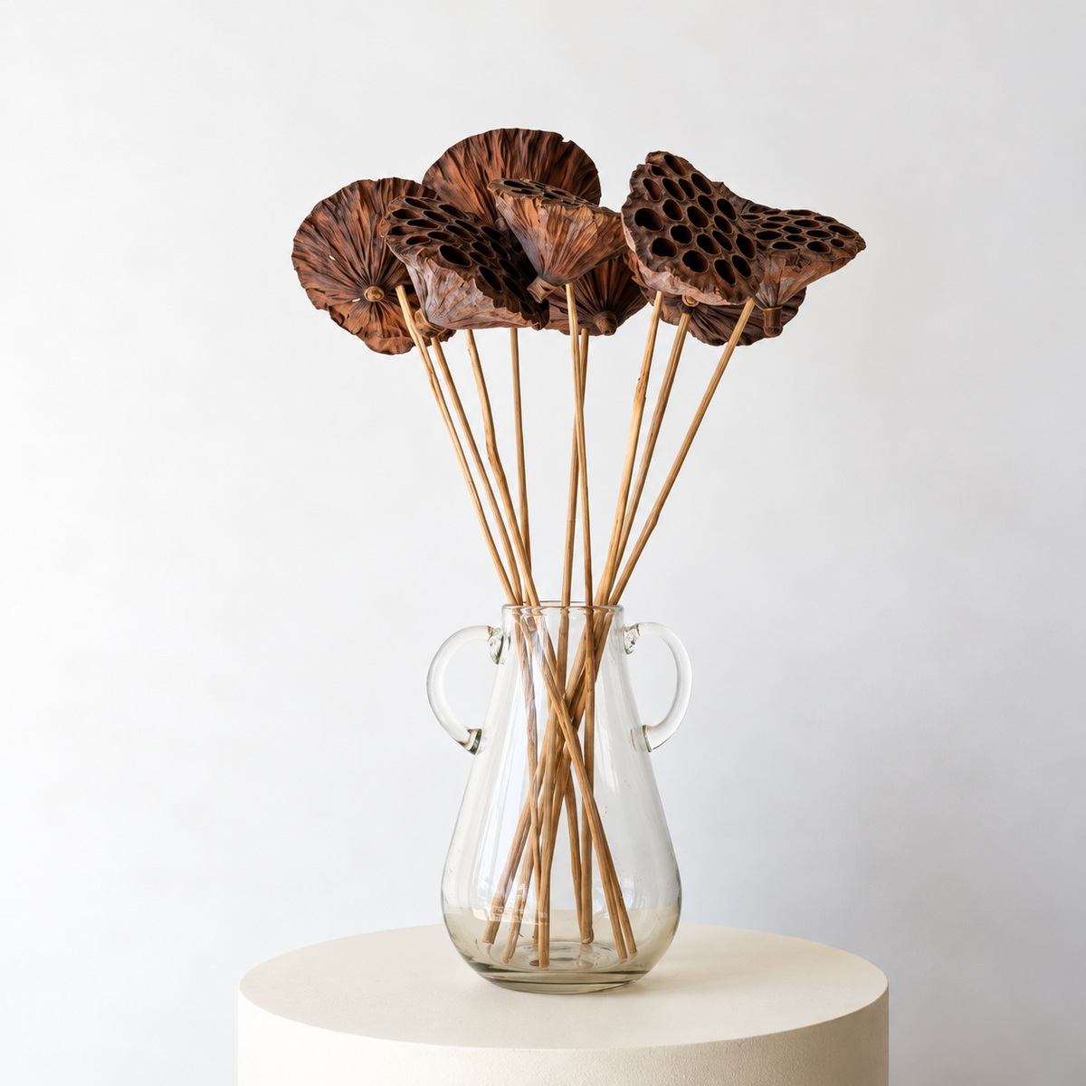 Infinity Flowers - Dried Lotus Seed Pod