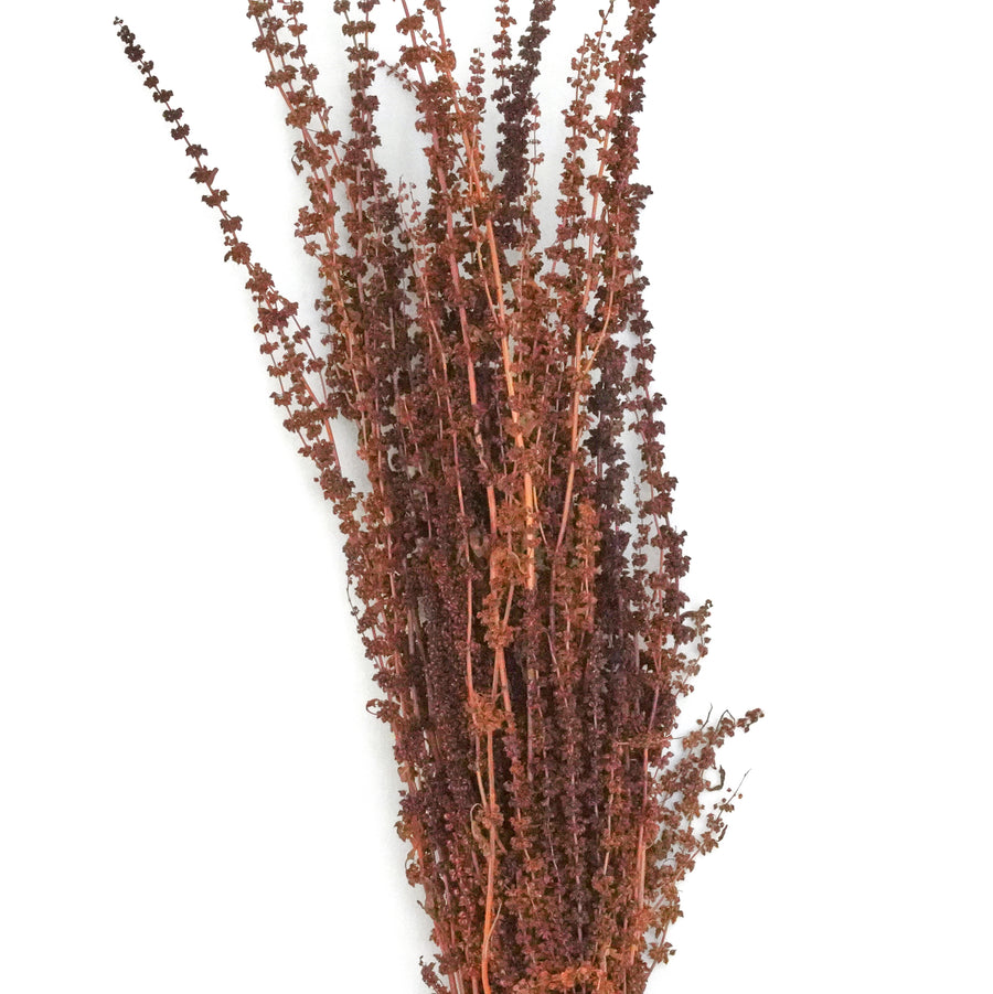 Dried Flowers -  Palang Natural