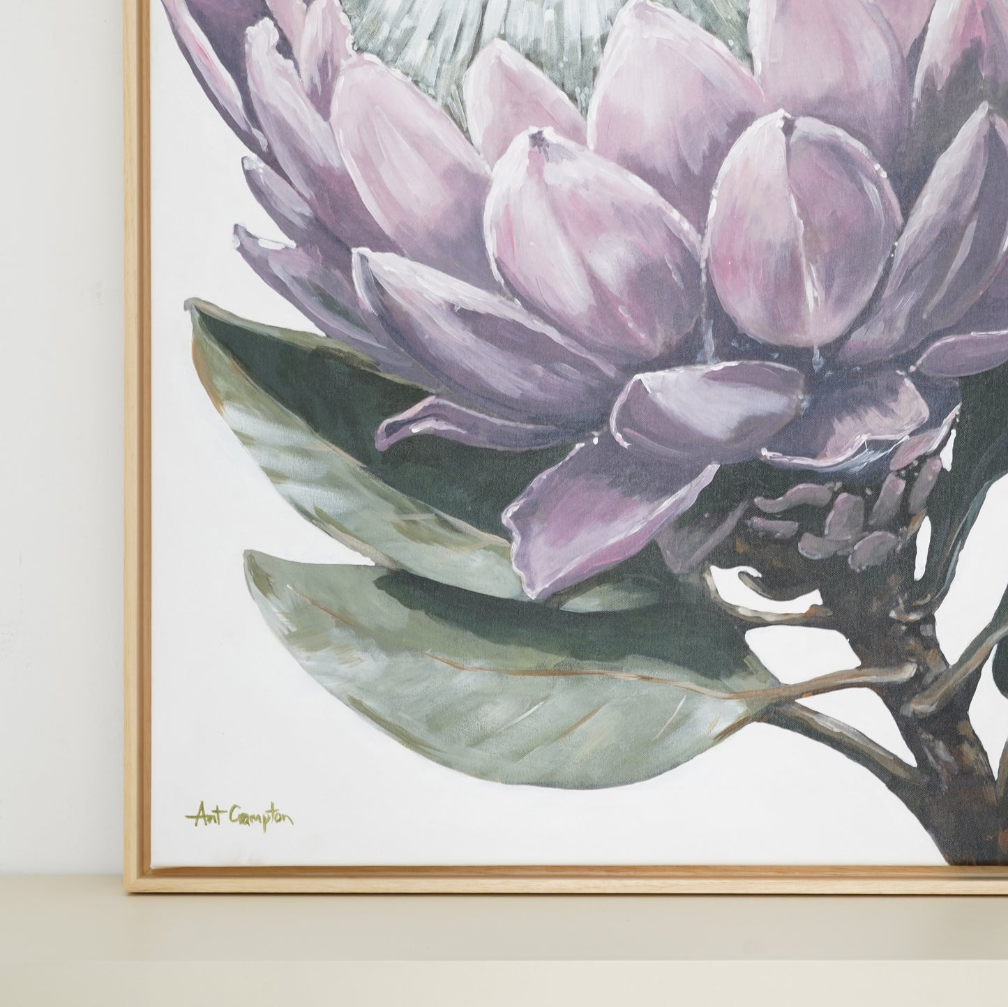 Protea Series by Ant Crampton 05