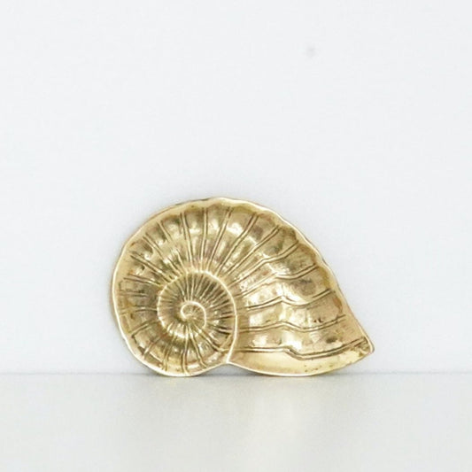 Brass Nautilus Tray