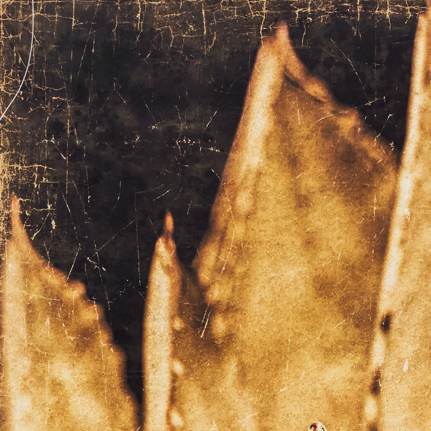 Luxe Banner Recycled Paper Print - Botanical Agave