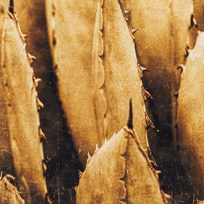 Luxe Banner Recycled Paper Print - Botanical Agave