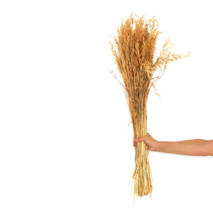 Dried Flowers -  Wheat Grass