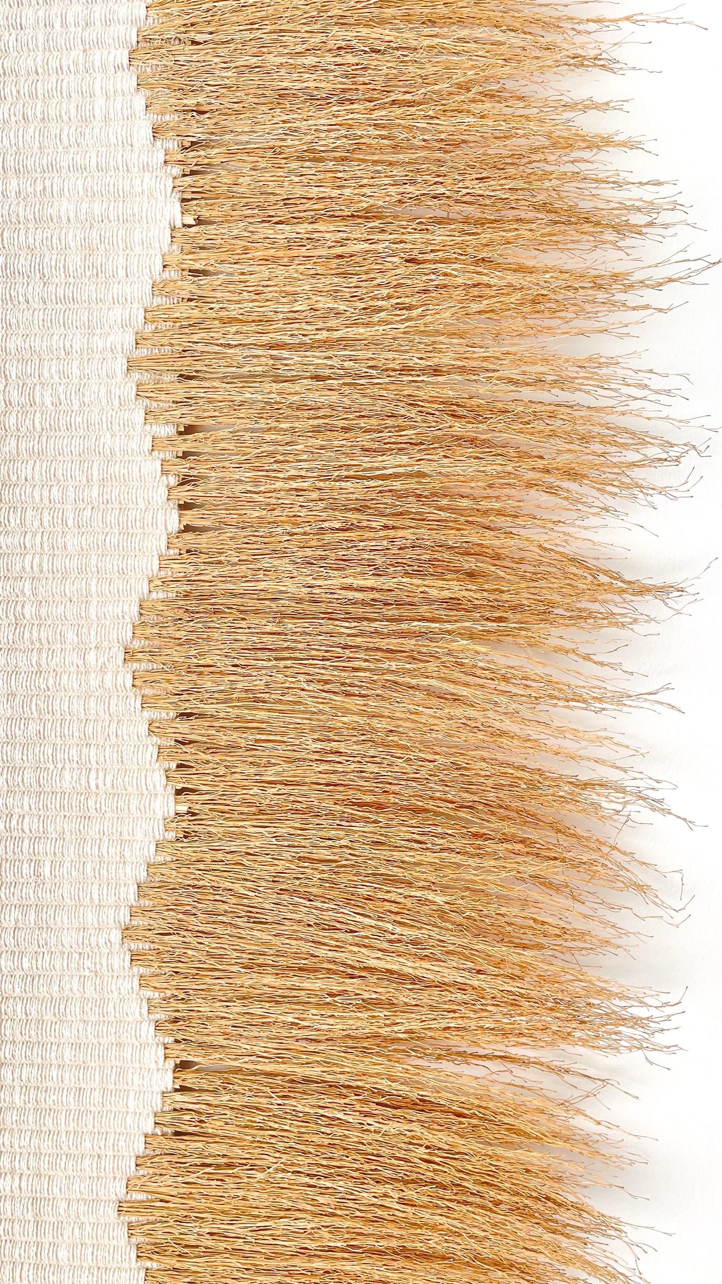 Husk Collection- Chawal Ivory Wall Art